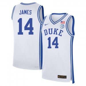 Sion James Duke NCAA #14 College Basketball Mens Jerseys - White 664523-141